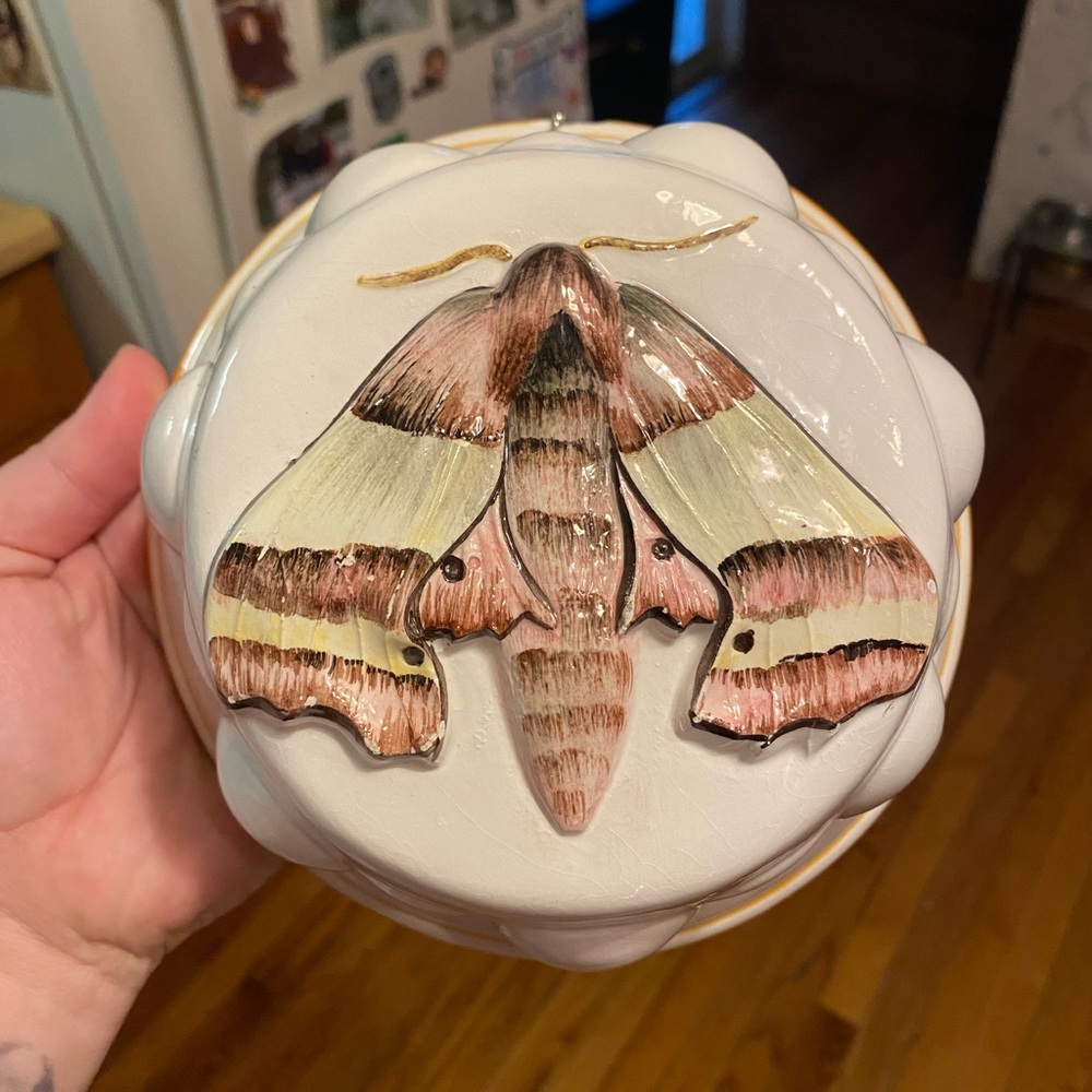 Vintage Moth Decorative Hanging Bowl